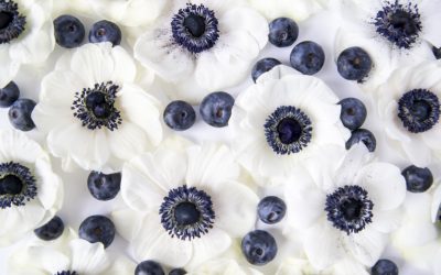 The Reality of Abundance