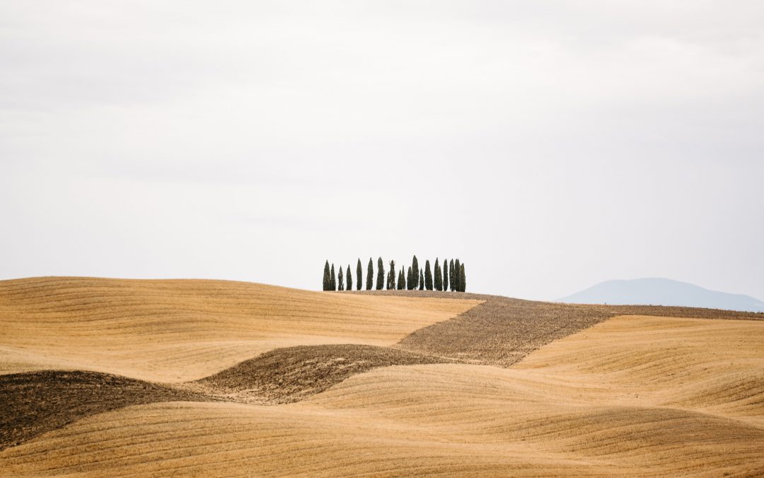 Prophetic: Sowing Your Precious Seed