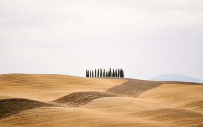 Prophetic: Sowing Your Precious Seed