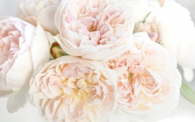 Want a beautiful life? (These questions will help)
